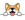 Corgidoge